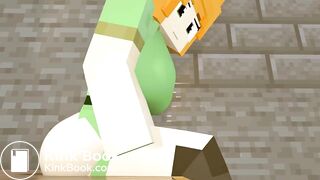 Minecraft scat animation