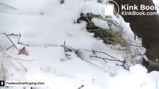 Snow log