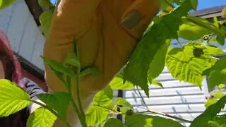 NF - Cute hairy purple hair poop and pee in the garden