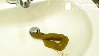 Huge turd in public toilet basin