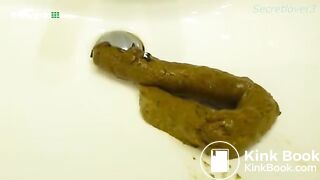Huge turd in public toilet basin