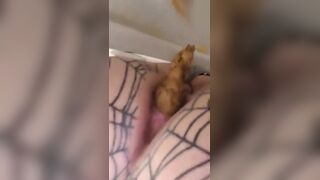 Scats - video 16