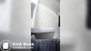 Pooping on a public toilet one view
