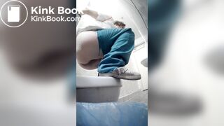 Pooping on a public toilet one view