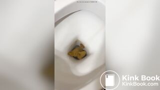Beautiful girl shows big turd as it falls into toilet