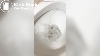 Beautiful girl shows big turd as it falls into toilet