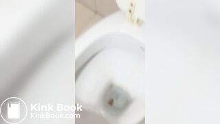 Beautiful girl shows big turd as it falls into toilet