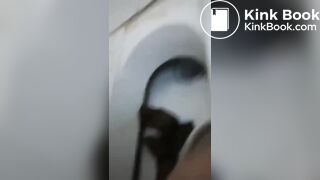 iran scat
