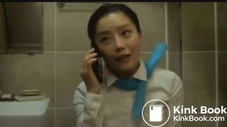 flight attendent pooping in public toilet