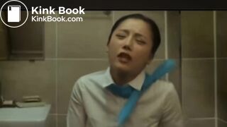 flight attendent pooping in public toilet