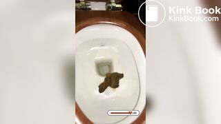 BIG toilet shits