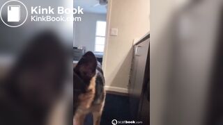 Girl pooping on the toilet with her dog