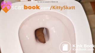 Massive toilet clog log