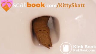 Massive toilet clog log