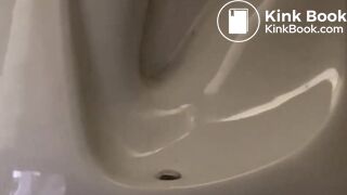 Really long evening poo, large load