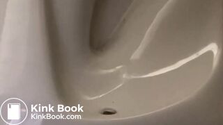 Really long evening poo, large load