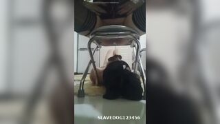 国产黄金调教