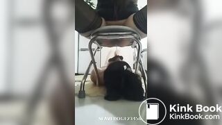 国产黄金调教