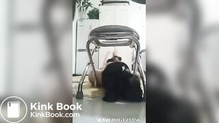 国产黄金调教