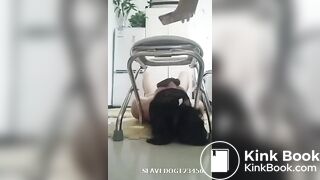 国产黄金调教