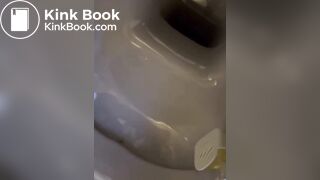 Hot girl shit in toilet - video 2