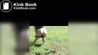 She shits in the field