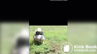 She shits in the field