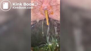 Chubby, Hairy Woman Pooping Compilation