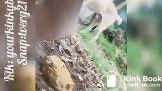 Hot girl shitting outdoors - video 18