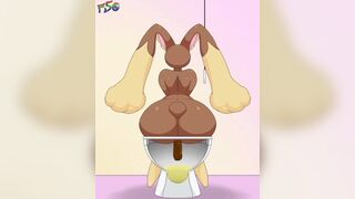Lopunny takes a shit