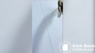 Scat Girl painting public toilet brown