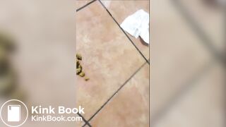 Scat Girl painting public toilet brown