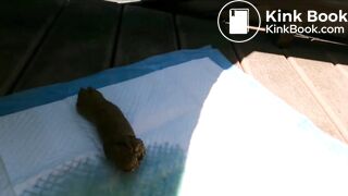 She pooped a big turd on the balcony