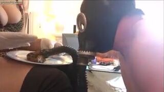 Maitresse Algérienne Fr scat