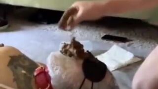 Shit in mouth - video 19