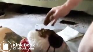 Shit in mouth - video 19