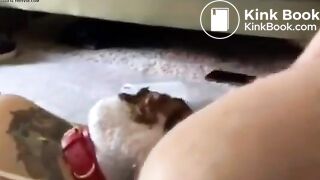 Shit in mouth - video 19