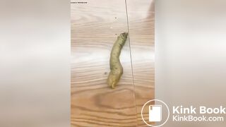 Student taking a shit on teachers desk