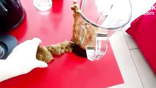 German lady poops in blender.. Prost!