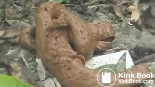 Nice poo and littering in the woods..