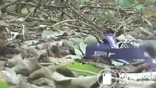Nice poo and littering in the woods..