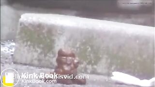 Student spies student shitting in corner of carpark (6)