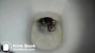 Girl pooping on toilet - video 76