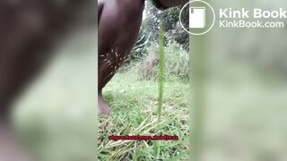 Deep and Dirty Anal with Big Ass Milf