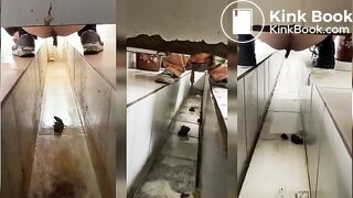 ditch075