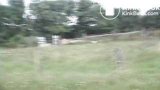 Poo on the farm..