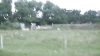 Poo on the farm..