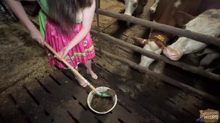 Fresh from the source - collecting cowshit