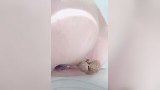 Scat 545