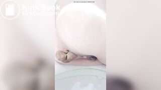 Scat 545